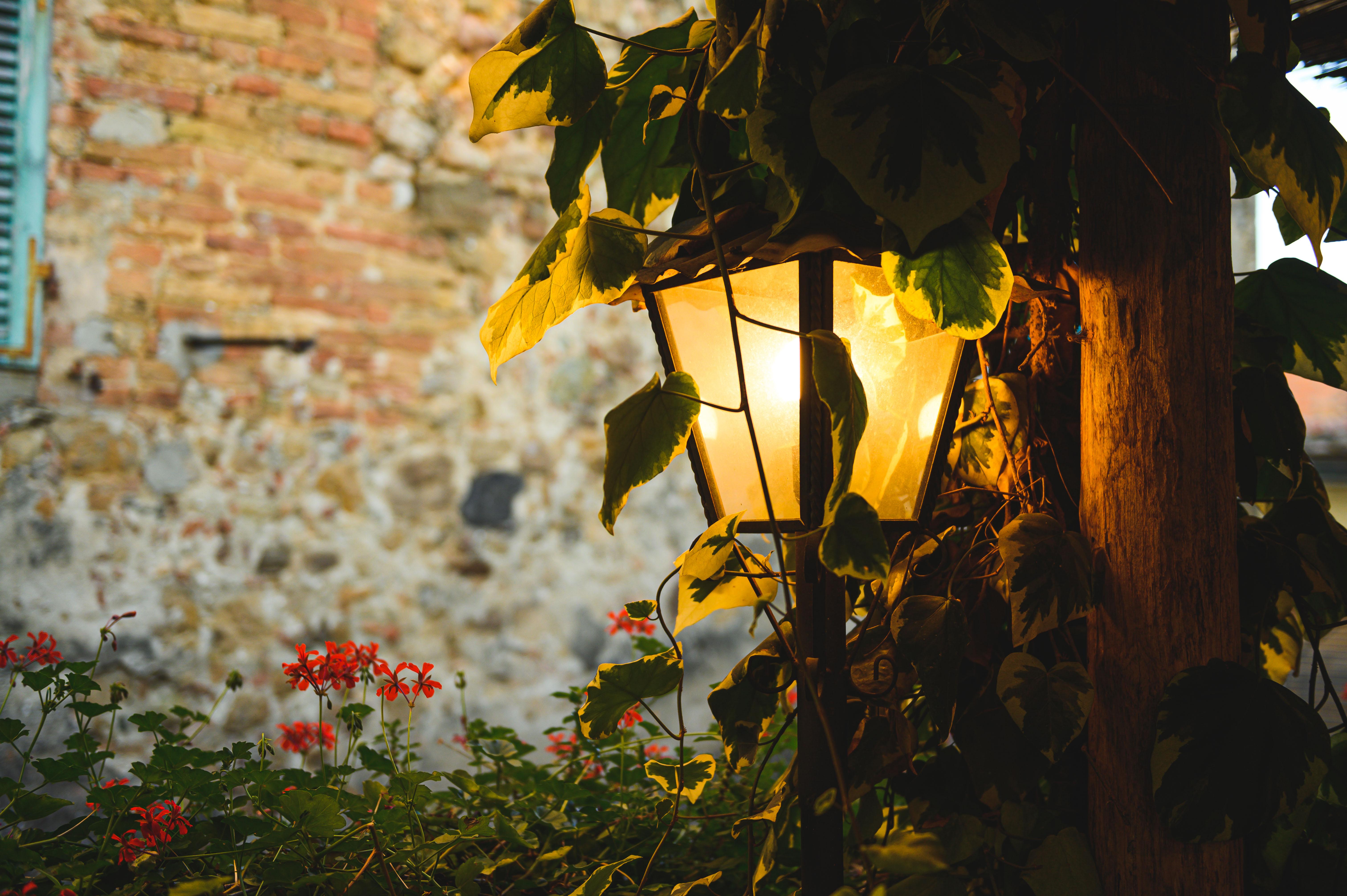 Boutique Villa Liberty - Dependance - Borgo Capitano Collection - Albergo Diffuso San Quirico d'Orcia Exterior photo